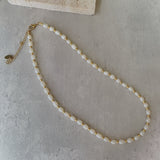 Nala Pearl Gold Bead Necklace